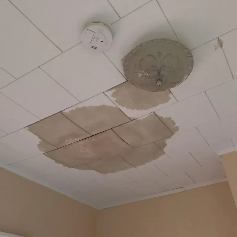 Ceiling Water Damage Repair in Buffalo, SD