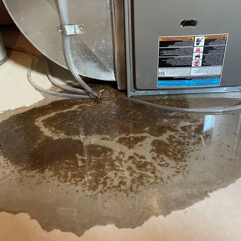 Pipe Burst and Leak Restoration in Buffalo, SD