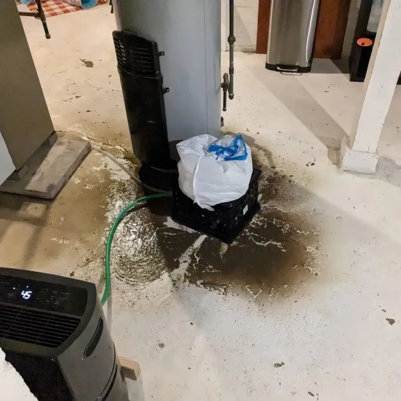 Sewage Backup Cleanup Service in Buffalo, SD